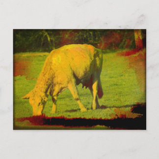 Weathered Pasture Briefkaart