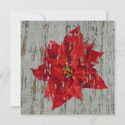 Weathered Poinsettia Winter / kerstbruiloft Kaart (Voorkant)
