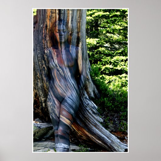 Weathered Swiss Pine by Johannes Stötter Poster (Voorkant)