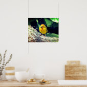 Weaver Bird Poster - R - 1948 (Keuken)