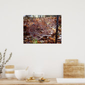 Web van de Europese Poster voor tuinbouw (Keuken)