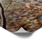 Web van de Europese Poster voor tuinbouw (Hoek)