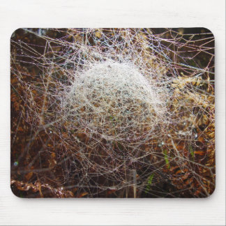 Web van de Mat van de Dome Spider Mouse Muismat