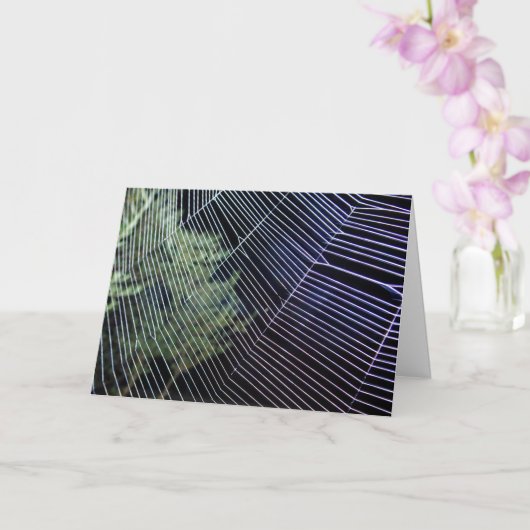 Web van de sinaaswielwebspin kaart (Orchidee)