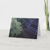 Web van de sinaaswielwebspin kaart (Voorkant)