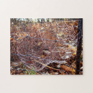 Web van European Garden Spider Photo Puzzle Legpuzzel