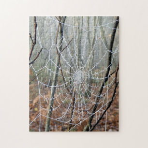 Web van European Garden Spider Photo Puzzle Legpuzzel