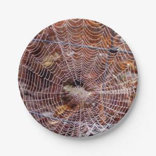 Web van Europese Tuin Spin Papier Bord