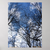 WEBBED SKY. POSTER (Voorkant)