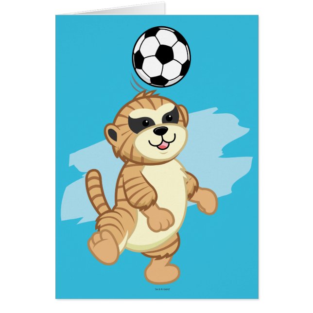 Webkinz | Meerkat-speldensport 2 (Voorkant)
