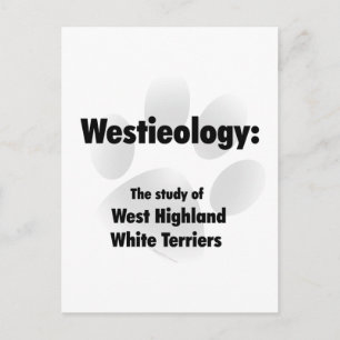 websiteologie briefkaart