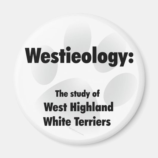 websiteologie magneet (Voorkant)