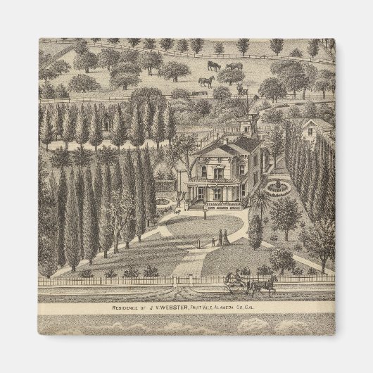 Webster, badgerweerstand magneet (Voorkant)