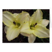 Weddenschap - Daylily (Voorkant Horizontaal)