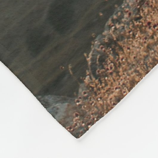 Weddenschap over het internet fleece deken (Hoek)