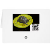 Weddenschappen - Orchideeën (Achterkant Horizontaal)