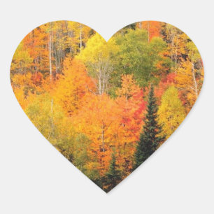 Weddenschappen Woensdag najaar huwelijkszegels Hart Sticker