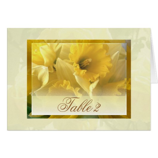 Weddenschapskaarten 2 (Voorkant Horizontaal)