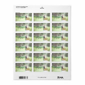 Weddenschapslabel Etiket (Full Sheet)