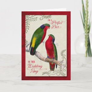 Wedding Gefeliciteerd Vintage Loriket Parrots Kaart