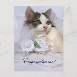 Wedding Kitten Briefkaart