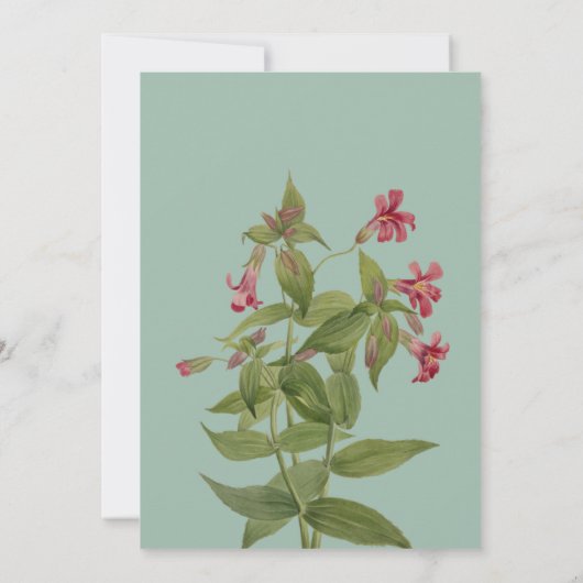 Wedding Reception Invitations  (Dos)