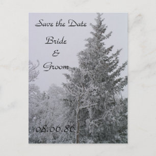 Wedding Winter Pine Tree Briefkaart