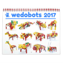 Wedobots 2017 Agenda