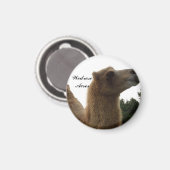 Wedrose Acres aimant de chameau (Recto/Verso)