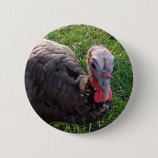 Wedrose Acres knop 1 Ronde Button 5,7 Cm (Voorkant)