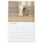 Wee Sparrow Kalender (Mar 2027)