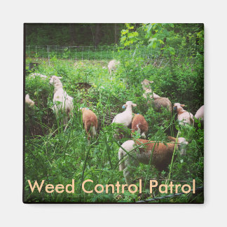 Weed Control Patrol Magnet Magneet