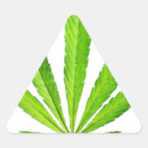 WEED LEAF DRIEHOEK STICKER