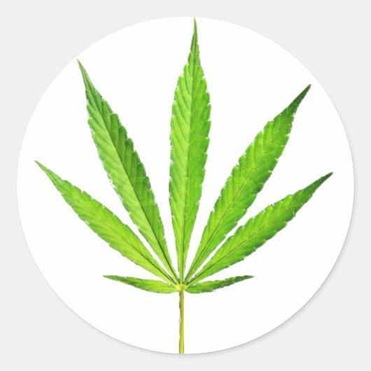 WEED LEAF RONDE STICKER (Voorkant)