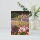 Weeds in mijn Briefkaart van de tuin (Staand voorkant)