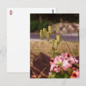 Weeds in mijn Briefkaart van de tuin (Voorkant / Achterkant)