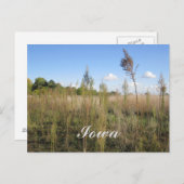 Weeds, Trees en Sky Iowa Briefkaart (Voorkant / Achterkant)