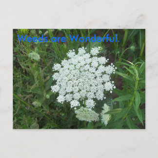 Weeds zijn geweldig. briefkaart