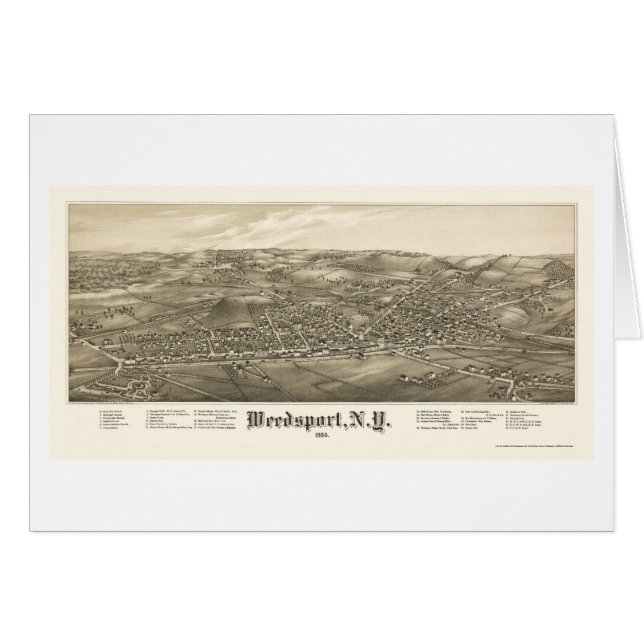 Weedsport, NY Panoramic Map - 1885 (Voorkant Horizontaal)