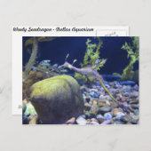 Weedy Seadragon # 2 Briefkaart (Voorkant / Achterkant)