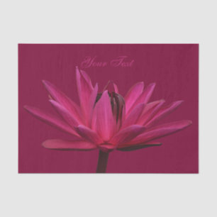 Weefpapier voor Bourgogne Pink Water Lily Tissuepapier
