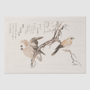 WEEFSEL : JAPANS : UTAMARO KITIGAWA 1806 TISSUEPAPIER