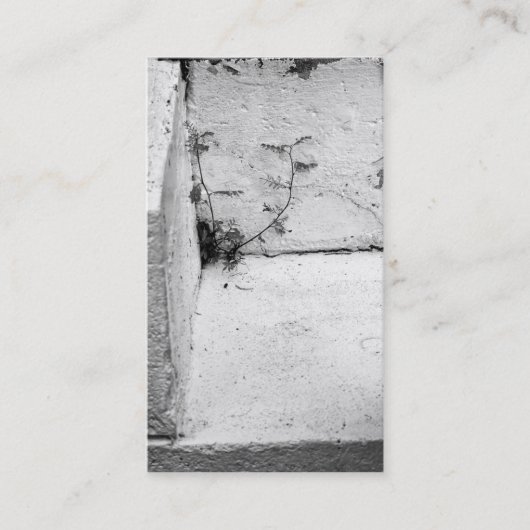 Weefsel op betonstaal Visitekaartje (Voorkant)