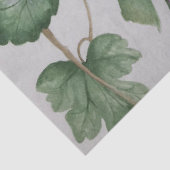 Weefsel van Elegant Pink Hummingbird Waterverf Tissuepapier (Detail)