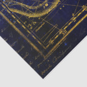 weefsel van kat - en slangenconstellatie tissuepapier (Detail)