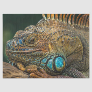 weefsel van reptiel tissuepapier