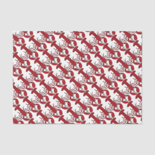 Weefselcadeau, Nautisch schattige rode kreeft Tissuepapier