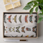 WEEFSELPAPIER:  BUTTERFLES KARAKTER TISSUEPAPIER (Geschenk)