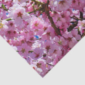 Weefselpapier Cherry Blossom Tissuepapier (Detail)