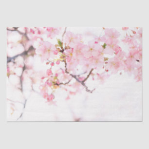 WEEFSELPAPIER: CHERRY BLOSSOMS WEEFSELPAPIER TISSUEPAPIER